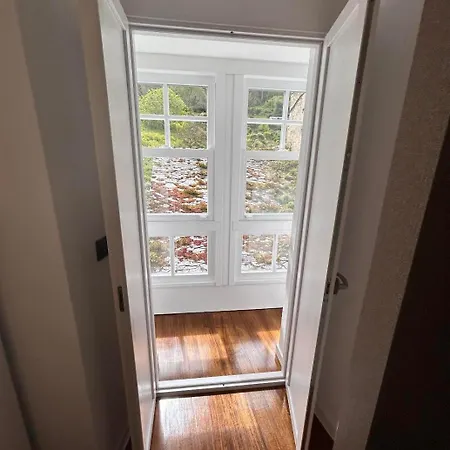 Nada O Norte Centro Viveiro