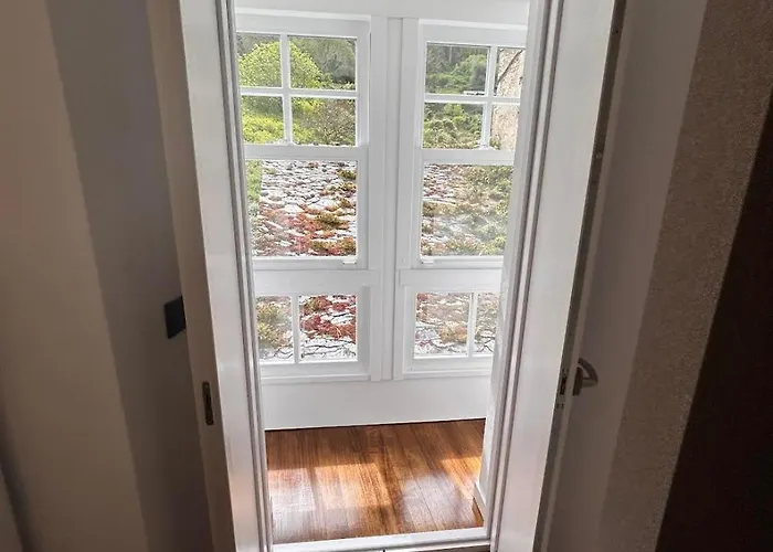 Nada O Norte Centro Viveiro